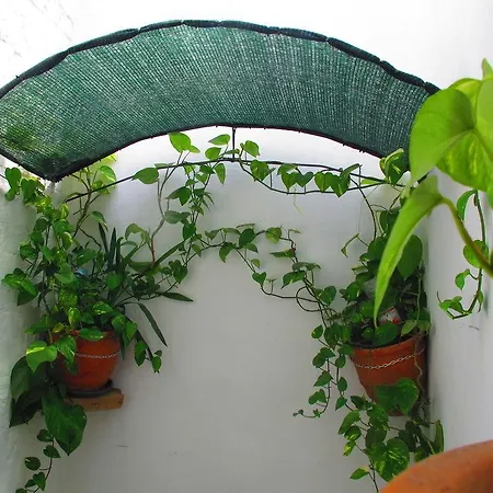 מלון דירות Atico, Terraza Y Barbacoa ברצלונה